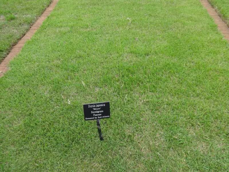 Trabalhador preparando um gramado recém plantado